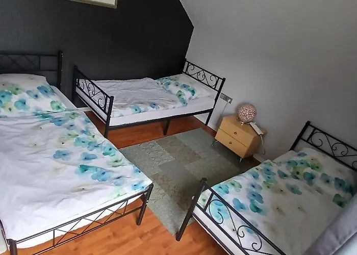 Vakantiehuis Hani's Partyhaus *